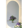 Mirror with LED lighting pill-shaped