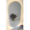 Mirror with LED lighting pill-shaped